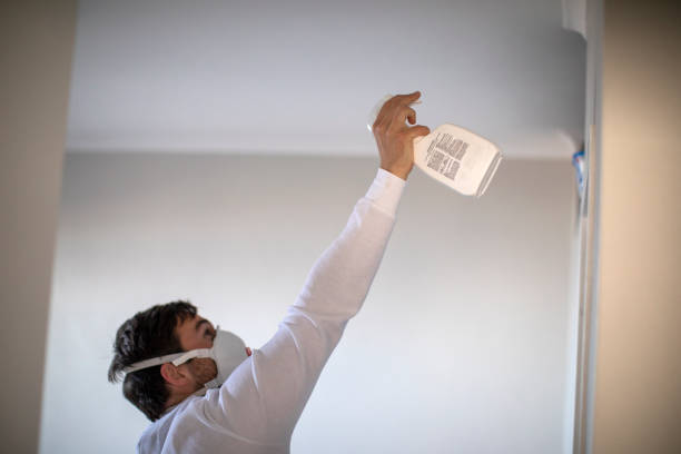 Best Mold Removal Specialists  in Zilwaukee, MI
