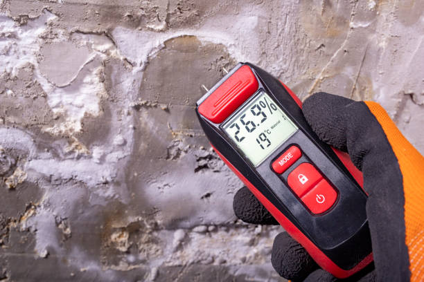Best Mold Removal Process  in Zilwaukee, MI