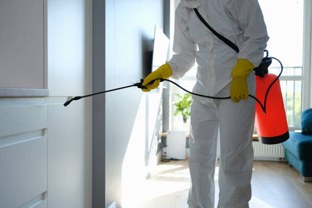 Best Emergency Mold Removal  in Zilwaukee, MI
